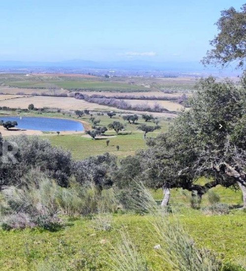 imagen de Finca de caza y Recreo en Extremadura